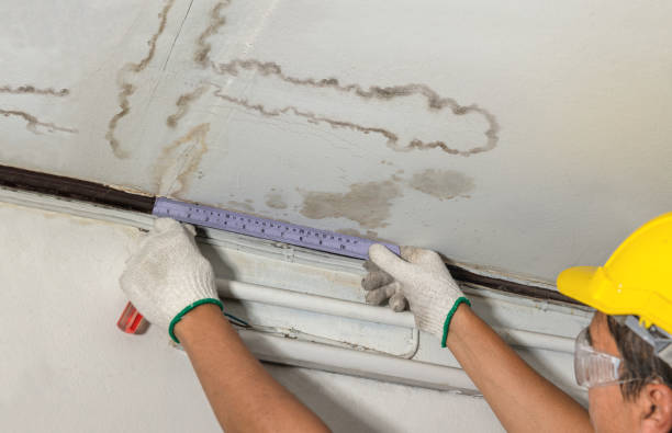 Reliable Mold Remediation contractor in Seattle, WA by Water Damage Irwin